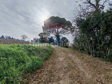 Rustico contrada castelnuovo 114, Recanati