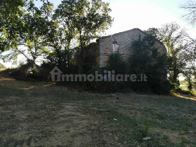 Casa colonica Contrada San Savino, Civitanova Alta, Civitanova Marche