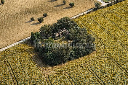 Rustico Contrada Passatempo, 3, Montefano