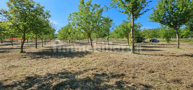 Camerino, Località Strada