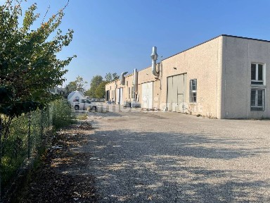 Bentivoglio, Via Monari Sardè, 6