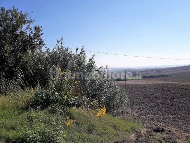 Rustico frazione Cervidone, Cingoli