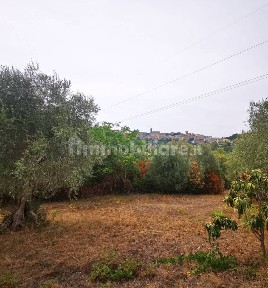 Casale Strada Provinciale Monte Polverino, Civitanova Alta, Civitanova Marche