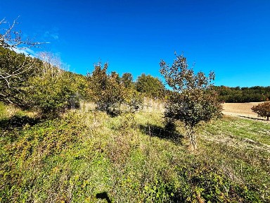 Rustico, da ristrutturare, 358 m², Camerino