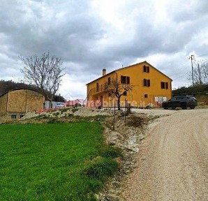 Cingoli, Frazione Avenale