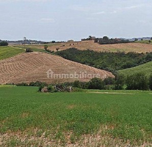 Cingoli, Località Lipparelli
