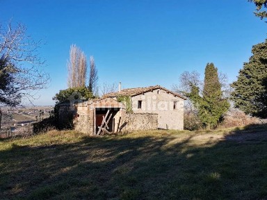 Cingoli, Frazione Torre No Number