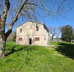 Cingoli, Lipparelli