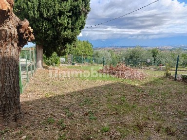 Cingoli
