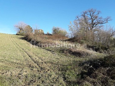 Cascina Contrada Rosciano San C., Tolentino