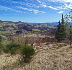 San Severino Marche, Aliforni