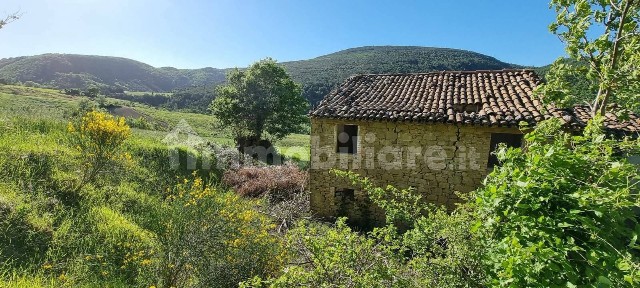 Rustico Pitino, San Severino Marche