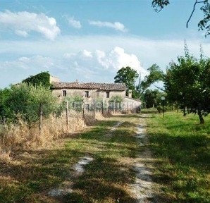 Cingoli