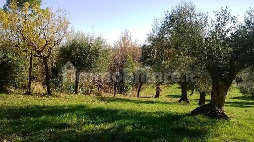Cingoli
