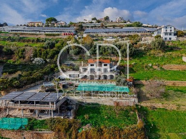 Appartamento Duca degli Abruzzi, San Martino - Villetta, Sanremo
