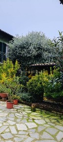 Terratetto unifamiliare vicolo Spalto 3, Centro, Masio