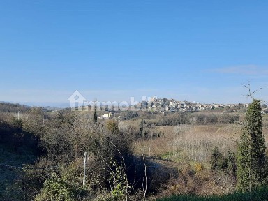 Carpeneto, Borgo Santa Barbara