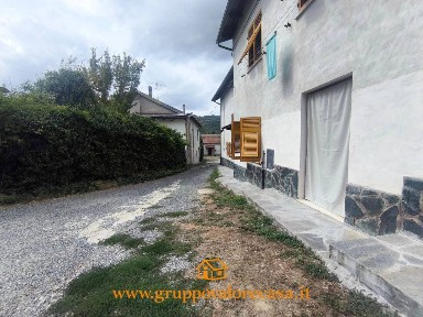 Visone