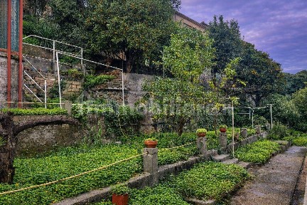 Appartamento via 25 Aprile, Oneglia, Imperia