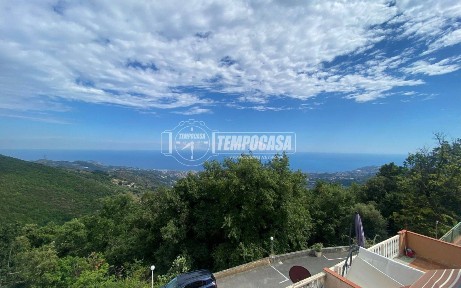 Sanremo, San Romolo - Borello, Strada Senatore Ernesto Marsaglia 372