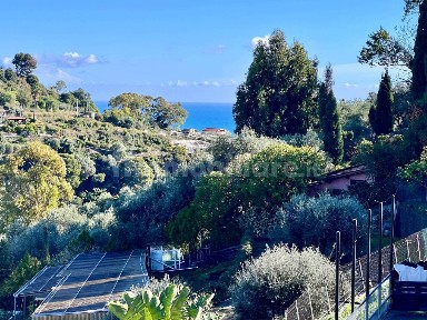 Sanremo, Bussana, Strada del Monto