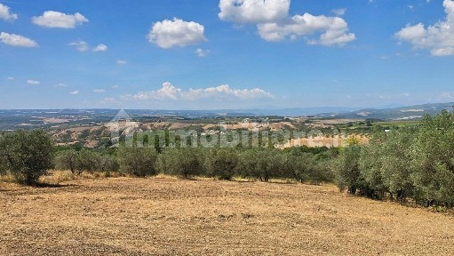 Montecchio, Via Selvarella, 11