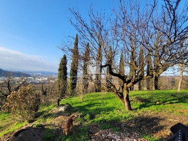 Villa unifamiliare Nogarazza, Nogarazza, Arcugnano