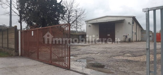 Capannone in Vendita