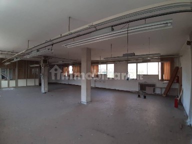 Magazzino - Deposito in Affitto
