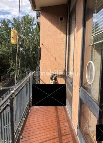 Mantova, Due Pini - Te Brunetti, Viale Montello, 18