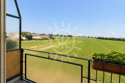 Trilocale via barabana 8, Frazioni di Molinella, Molinella