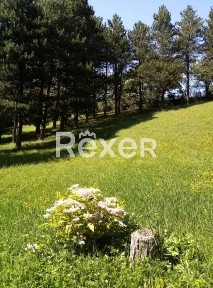 Quadrilocale frazione Capugnano, Alto Reno Terme