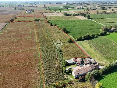 Asola, Str. Gazzanine, 7
