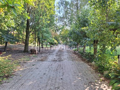 Mantova, Due Pini - Te Brunetti, Via Parma