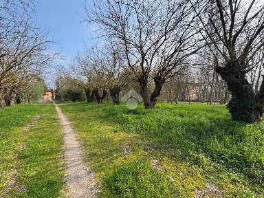 Rustico Str. Madonnina, Lunetta Frassino, Mantova