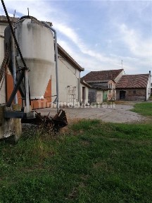Rustico Strada Argine Vecchio 45, Mirasole, San Benedetto Po