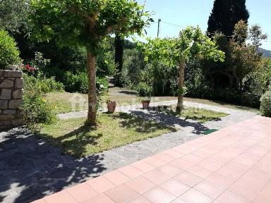 Bilocale via dei Marmi 23, Colle Di Procchio, Marciana