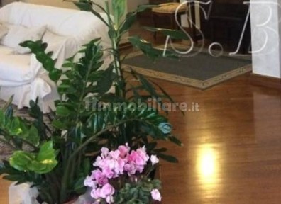 Appartamento ottimo stato, primo piano, Centro, Mantova