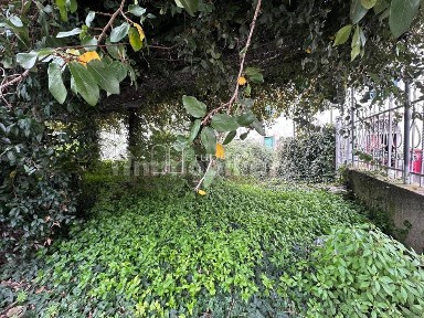 Terratetto unifamiliare via San Piero, Centro, Calci