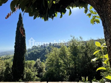 Terratetto unifamiliare via Augusto Conti, Centro Storico, San Miniato