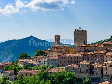 Terratetto unifamiliare Maggio, 0, Castelnuovo di Val di Cecina
