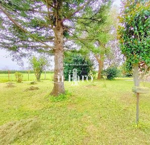 San Giuliano Terme, SP, 9