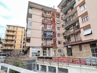 Savona, via scarpa, 6