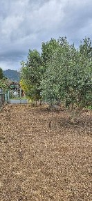 Terratetto unifamiliare via Giacomo Matteotti, Le Maggiola, Gello, San Giuliano Terme