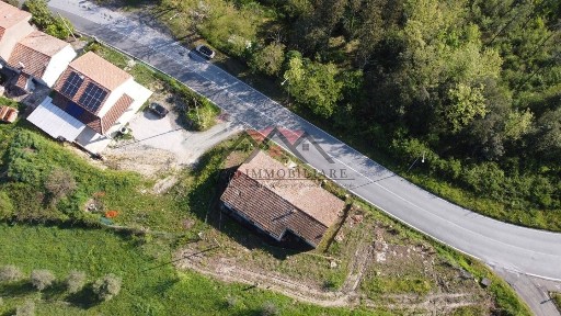 Volterra