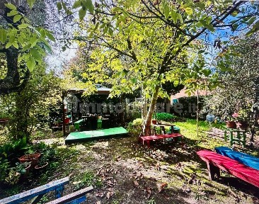 Terratetto unifamiliare 197 m², buono stato, Centro, Terricciola