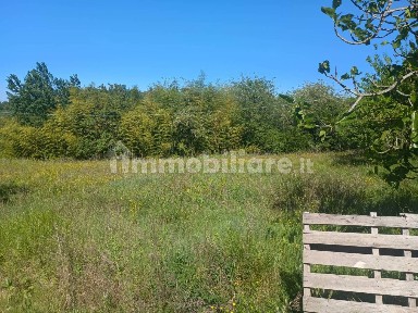 Terratetto unifamiliare via nuova, Palaia