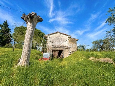 Terratetto unifamiliare 210 m², nuova, Centro, Palaia