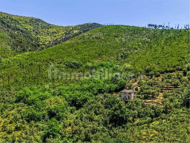 Terratetto unifamiliare 221 m², buono stato, Montemagno, Calci
