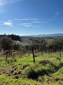Terratetto unifamiliare 180 m², da ristrutturare, Peccioli
